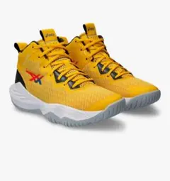 アシックス　NOVA SURRGE GS 21.0cm