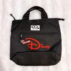 ディズニーリゾート チームディズニー 2wayリュックサック