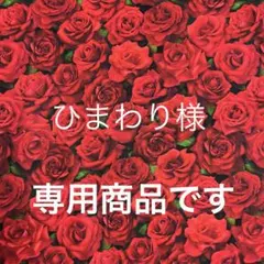 ❣️❣️専用商品です❣️❣️