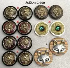ボタンカボション300① 7/9