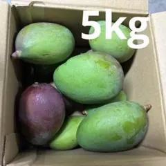 5kg沖縄県産 摘果マンゴー(お漬物用）60g～日々肥大 青マンゴー - メルカリ