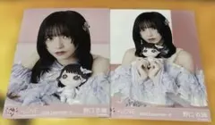 = LOVE モーリーファンタジー ヨリチュウ 野口衣織