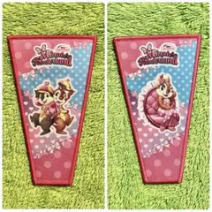 【匿名配送】ディズニーパルパルーザ　ワッペンアクセサリー　チプデ＆クラリス