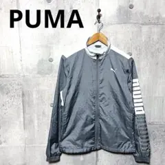 PUMA プーマ レディースビッグサイズ ウインドブレーカー ジャケット XL