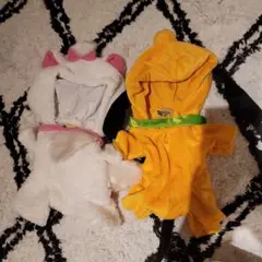 Item thumbnail for item 6bc2025e-517f-4834-9b76-e0436866494d