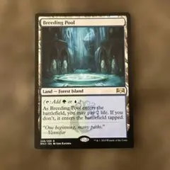 MTG カード 【Breeding Pool】