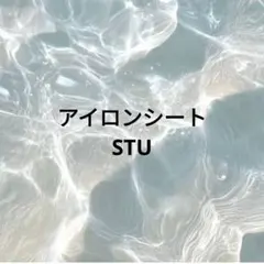 アイロンシート⑩