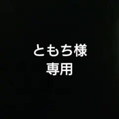 ペルソナ3 リロード P3R パルバース PalVerse フィギュア　アイギス