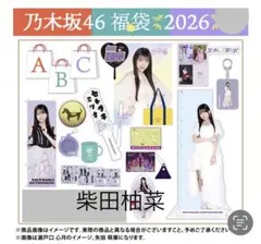 田*智様 乃木坂46 2026年福袋A B C 19点　柴田柚菜