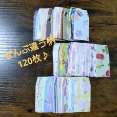 豆ポチ袋　ミニ封筒　ぜんぶ違う柄　大容量