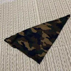 Item thumbnail for item d38a8605-de05-438f-8510-662d6b9f717c