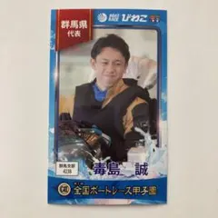 希少品　競艇　毒島誠　非売品　ウォールアート 2025年最新】毒島誠の人気アイテム - メルカリ