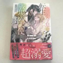 モノカルチャー経済様 リクエスト 2点 まとめ商品