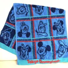 東京ディズニーランド キャラクタータオル　新品未使用