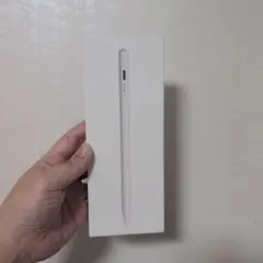 iPad Pencil (スタイラスペン)