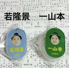 大相撲ガチャ　若隆景　一山本　キーホルダー