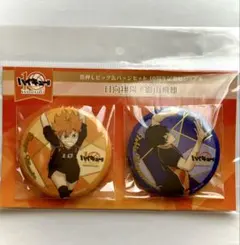 ハイキュー!! 箔押しビッグ缶バッジセット 日向翔陽 影山飛雄