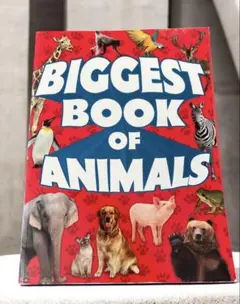 Item thumbnail for item 950698d2-dcbd-4706-af3a-5d5f454ea54d