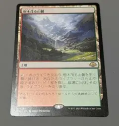 MTG KTK 樹木茂る山麓 Wooded Foothills - メルカリ