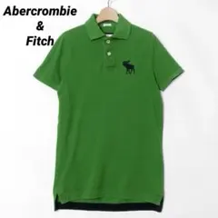 Abercrombie アバクロンビーアンドフィッチ アバクロ 半袖 ポロシャツのサムネイル