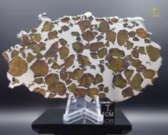 2026年最新】イミラックパラサイトの人気アイテム - メルカリ