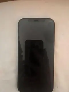 【即発送】iPhone12