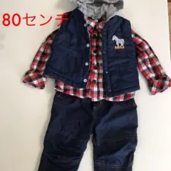 used シマウマリバーシブルベスト　パンツセット　80センチ