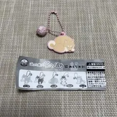 ほっこり柴犬　茶々ノ助　すやすや　ピンク