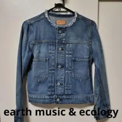 earth music & ecology Gジャン