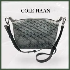 Item thumbnail for item b66d7d36-015e-4c06-93d8-05f1edb92a49