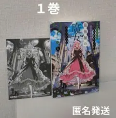 敵国に嫁いで孤立無援ですが、どうやら私は最強種の魔女らしいですよ？ 1　十夜
