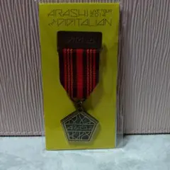 ARASHI THE DIGITALIAN メダルバッジ 2014