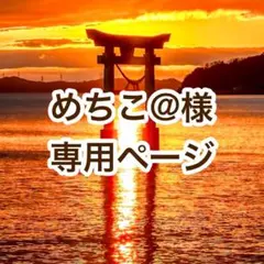 めちこ@様 専用ページ