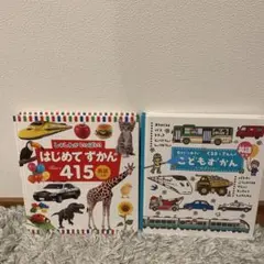 はじめてずかん 415 & こどもずかん 2冊セット