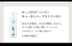ベア様専用　レモン、キューカンバー、インディアンの3点