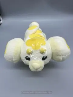 正規品 ポケモンセンター パピモッチ ぬいぐるみ