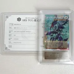 ARS鑑定10 シロナのガブリアスex SAR ポケモンカード 鑑定書付 - メルカリ