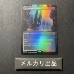 行き届いた書庫 日本語 ボーダーレスfoil 拡張foil】行き届いた書庫 英語 - メルカリ
