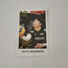 Item thumbnail for item c9f70a4b-0bee-4529-8d31-86751b0498cc