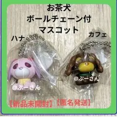 お茶犬 チョコボーロ ボールチェーン付きマスコットカフェ ハナ 【新品未開封】