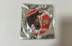 有馬記念　缶バッジ　トウカイテイオー　1点