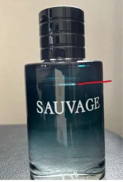 Dior ソヴァージュ 100ml EDT オードトワレ