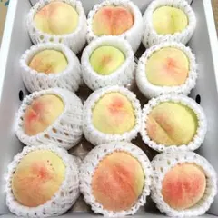 訳あり 清水白桃 4キロ箱 コメント用 - メルカリ
