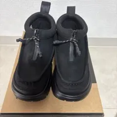 Item thumbnail for item e341fede-12ee-45a8-a7ff-80a93ff91d1e