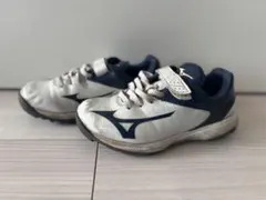 Item thumbnail for item b050d7d2-3ea7-4487-8606-4c80622caa19