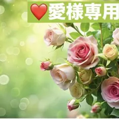 愛様専用❤️アンファティ　ユース大　旧1 No.6ゴールド　新1 サンプル1ピンク