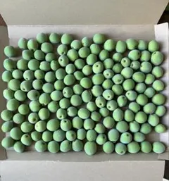 青梅　小梅　800gのサムネイル