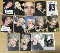 &TEAM MAKI 月狼 BtL トレカ セット