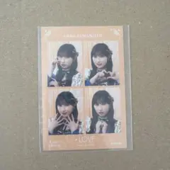 山本杏奈 缶バッジ ミニフォト セット - メルカリ