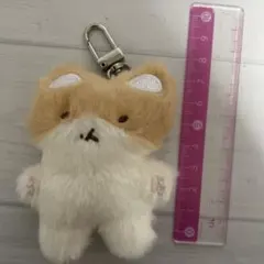 2025年最新】トレギ ベッキョン キーリングの人気アイテム